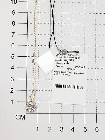 Picture of the author