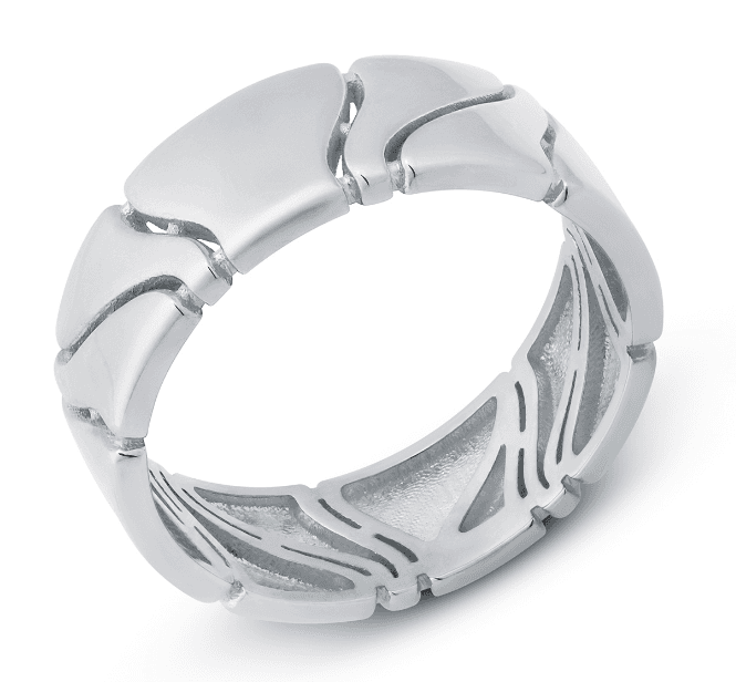 Picture of the author