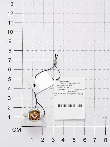 Picture of the author