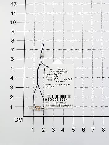 Picture of the author