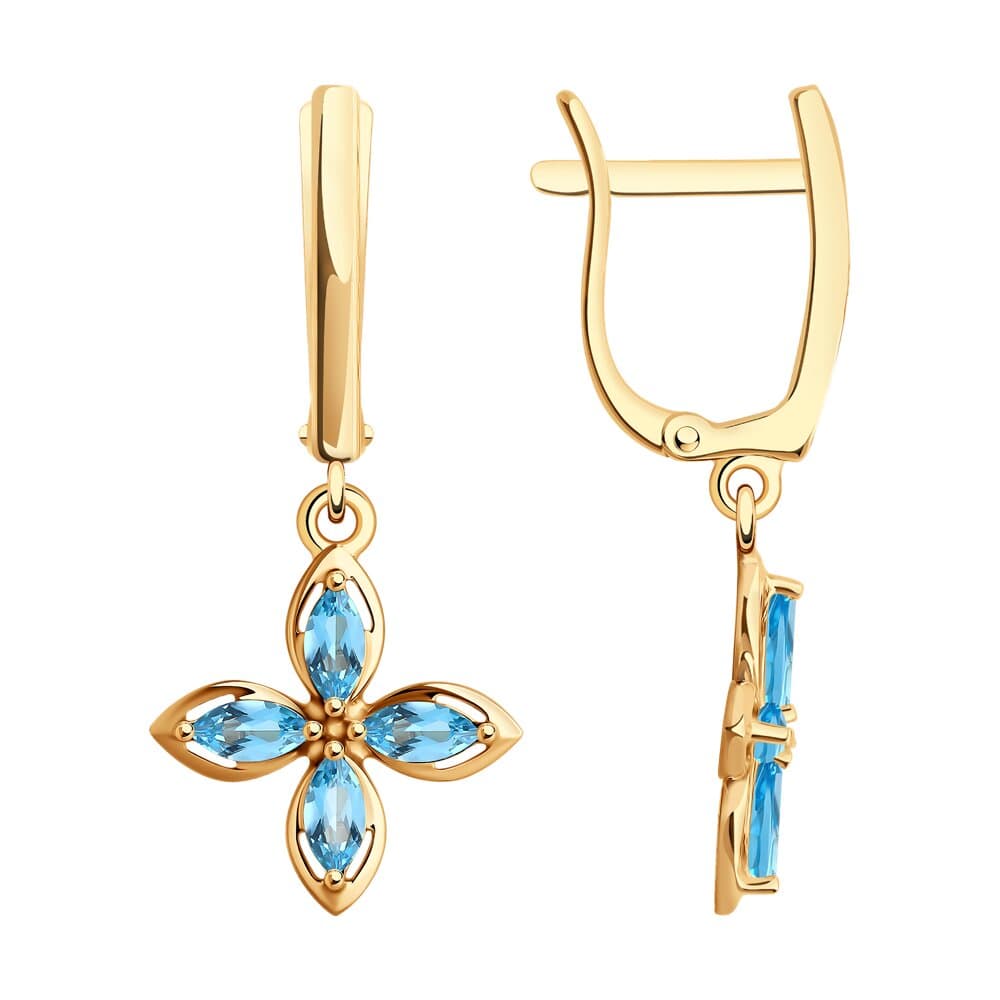 Picture of the author