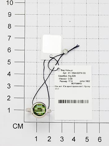 Picture of the author