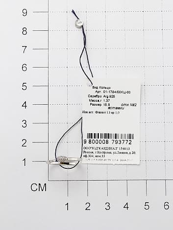 Picture of the author