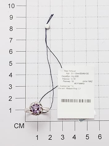 Picture of the author